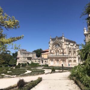 Mata Nacional do Bussaco