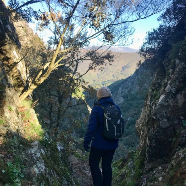 318202713_2399995073471686_3951954096042222093_n-600×600 318202713_2399995073471686_3951954096042222093_n-600×600