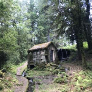 Explore a Magia da Serra da Cabreira e Marão: Uma Viagem Inesquecível