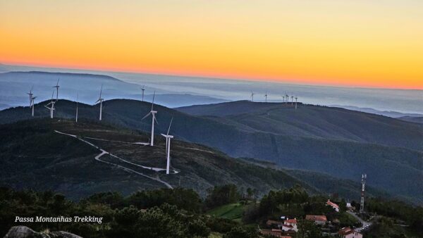 20231217_171408-1-600×338