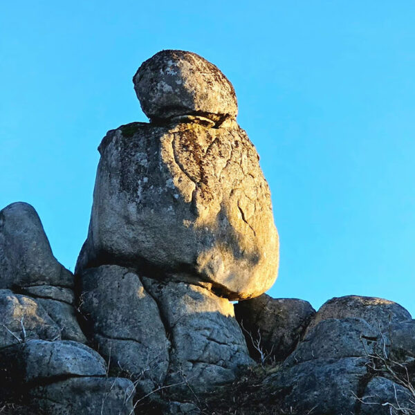 IMG_20231217_210000_111-600×600